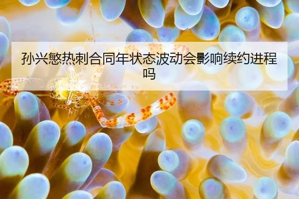 孙兴慜热刺合同年状态波动会影响续约进程吗